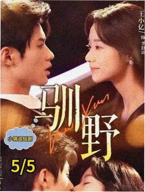 青柠之恋 - 青柠影院在线观看高清电视剧